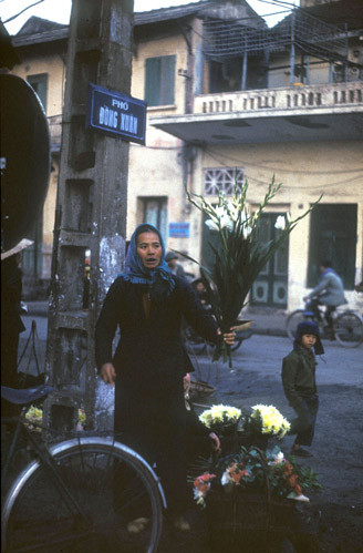 Chợ hoa trên phố Đồng Xuân.