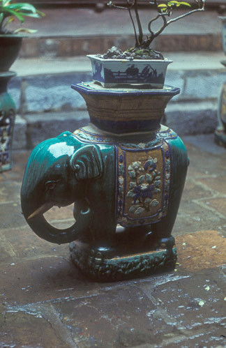 Chậu hoa trong Văn Miếu.