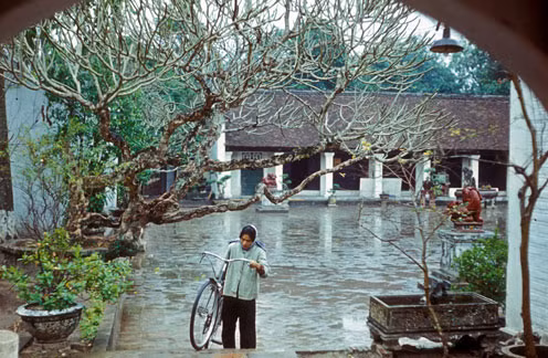 Một góc Văn Miếu.