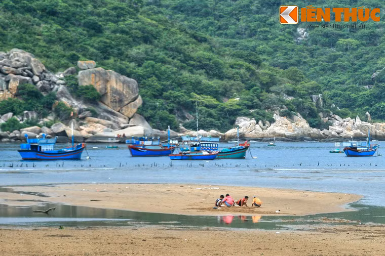 Do chưa bị khai thác du lịch ồ ạt nên vịnh Vĩnh Hy toát lên một vẻ đẹp hoang sơ, làm ngất ngây tâm hồn những vị khách lữ hành.