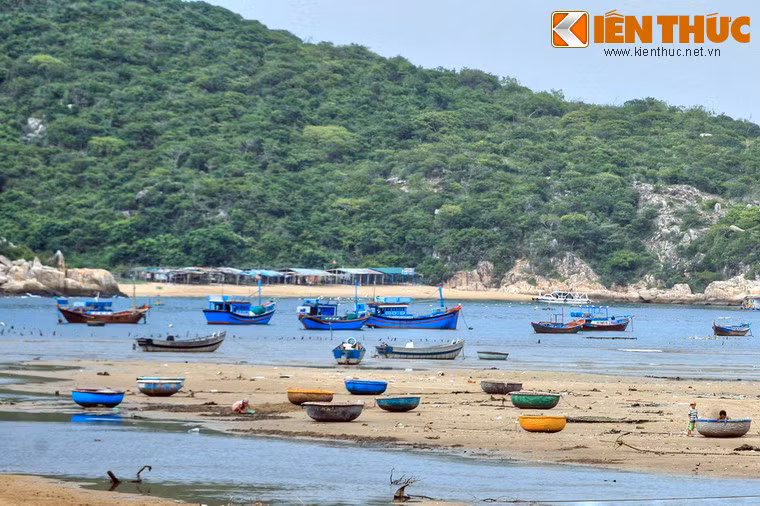 Vào năm 2014, trang web du lịch giải trí Travelandlleisure đã bình chọn vịnh Vĩnh Hy là một trong 27 điểm du lịch nên đến nhất thế giới trong năm.