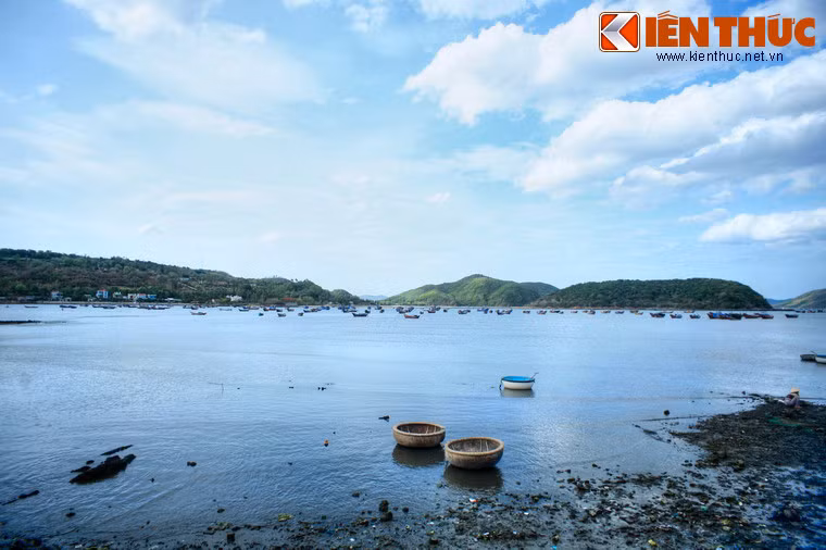 Vịnh được bao bọc bởi dãy núi Cổ Ngựa chạy dài ra biển khoảng 15km, diện tích mặt nước khoảng 13.000ha, cửa vịnh rộng khoảng 4,4km, độ sâu từ 7m đến 18m.