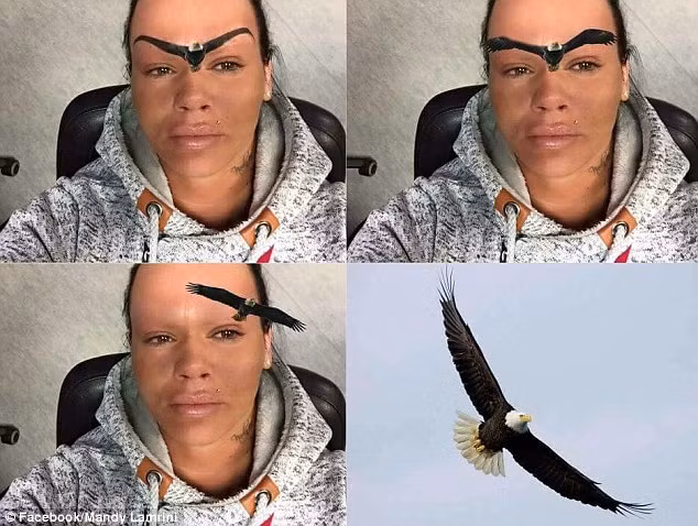 Việc phẫu thuật lông mày của Mandy Lamrini bị nhóm troll chế thành đôi cánh của con chim đại bàng. Các bức ảnh chế được 600 người chia sẻ, 2.000 lượt like và đã thu hút hơn 23.000 bình luận. Nhiều người nhận xét, đôi lông mày của cô giống Waigel - một chính trị gia người Đức, người có đôi lông mày rậm.