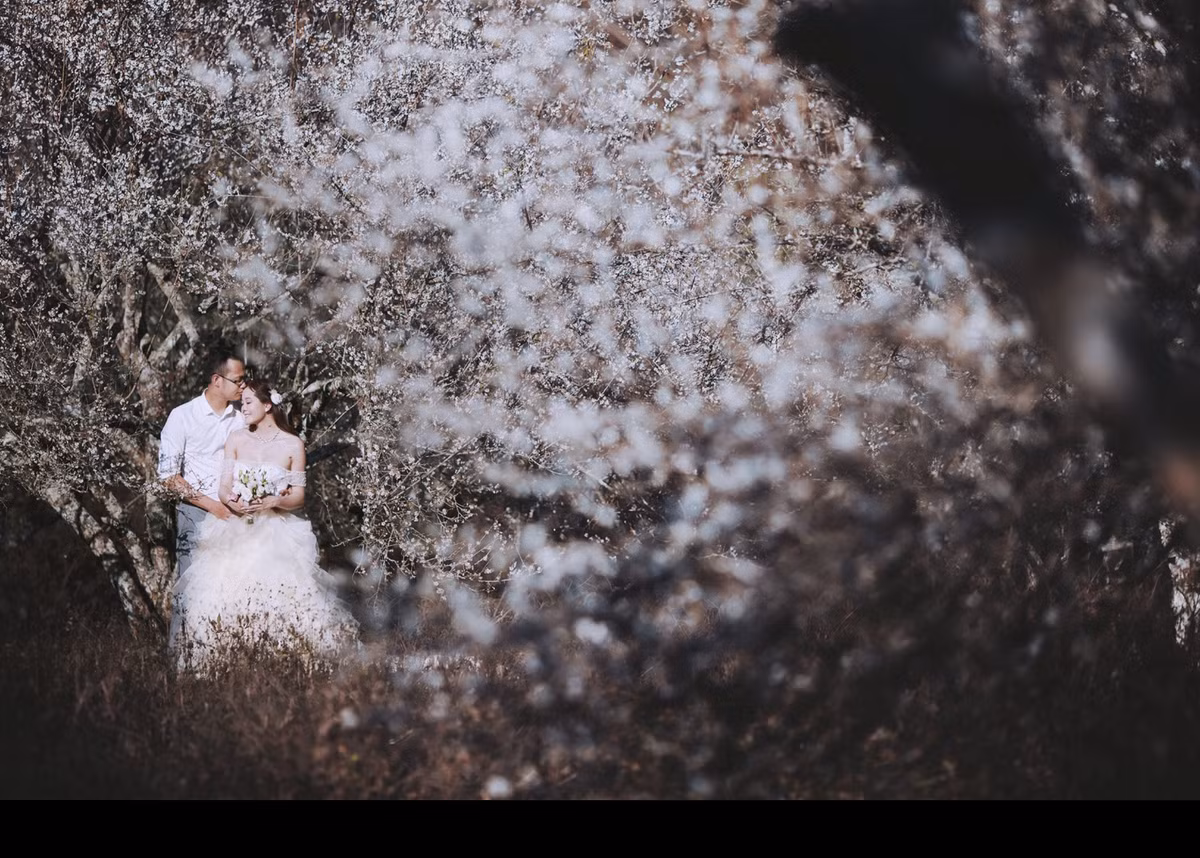 Vốn là một người yêu thích sự quái tính, không giống ai nên chàng nhiếp ảnh gia đã tốt nghiệp chuyên ngành Mỹ thuật truyền thống trường ĐH Mỹ thuật Công nghiệp, Hà Nội.