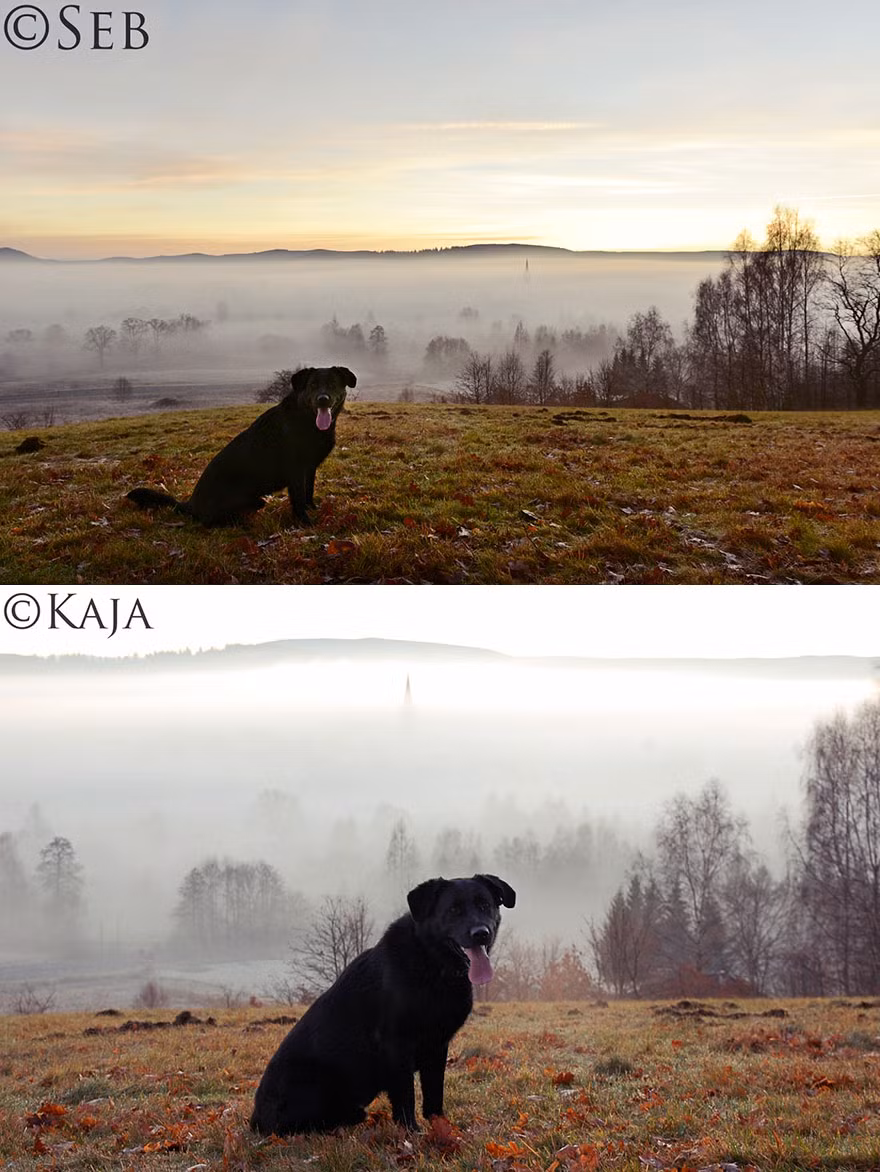 Không trải qua bất kỳ một lớp đào tạo nhiếp ảnh chuyên nghiệp nào, trí tuệ cũng không minh mẫn như người bình thường, nhưng Kaja lại có đôi mắt định hình phong cách chụp ảnh rất ấn tượng.