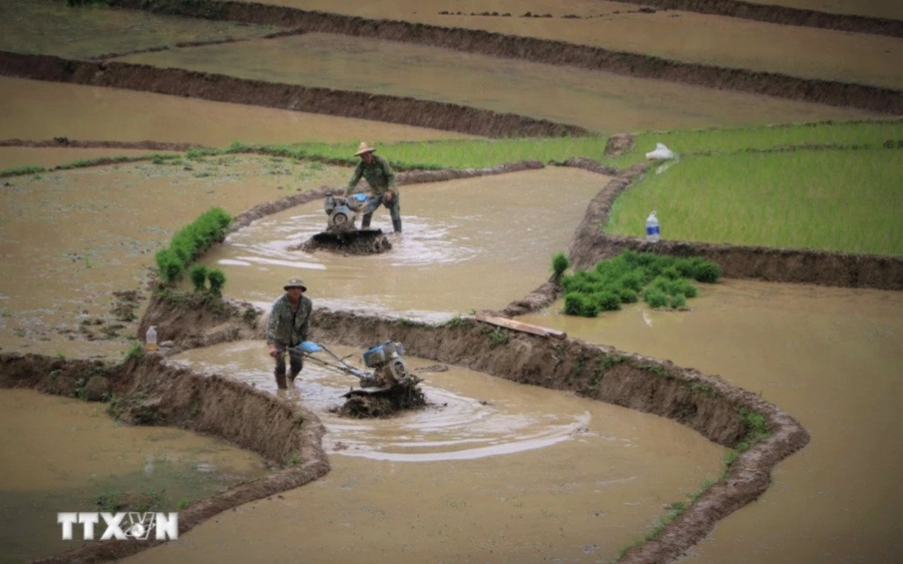 Nông dân làm đất khi nước về ruộng bâc thang.