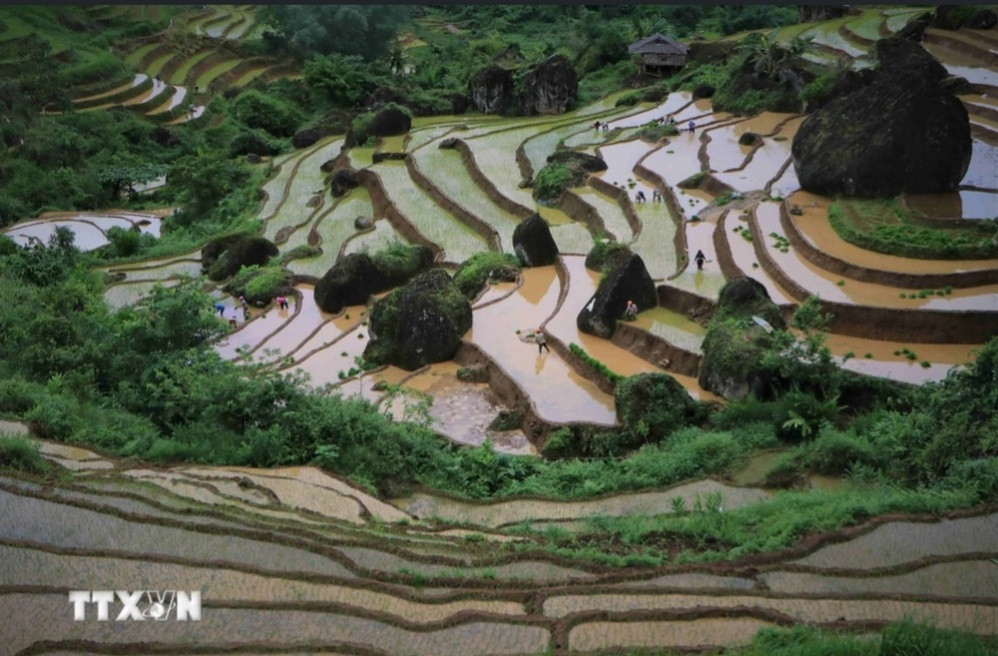 Ruộng bậc thang quanh co uốn lượng theo sườn núi.