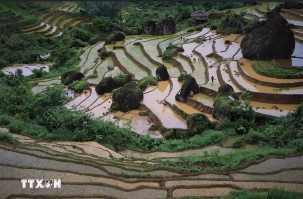 Ruộng bậc thang quanh co uốn lượng theo sườn núi.