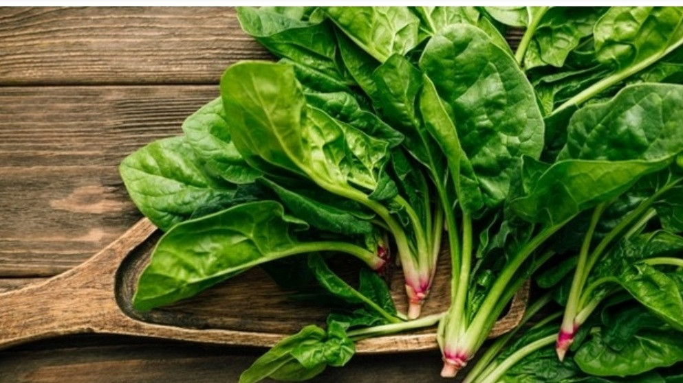 Loai rau tiem an nhieu nguy hiem neu an qua