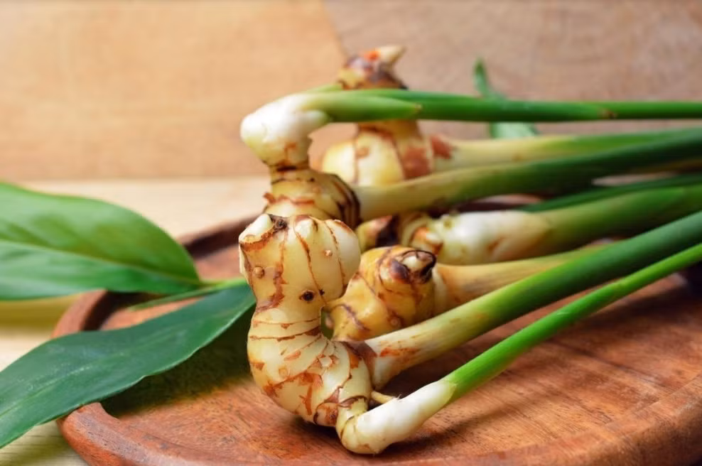 Gia vi quen thuoc la “khac tinh” cua nhieu benh thuong gap