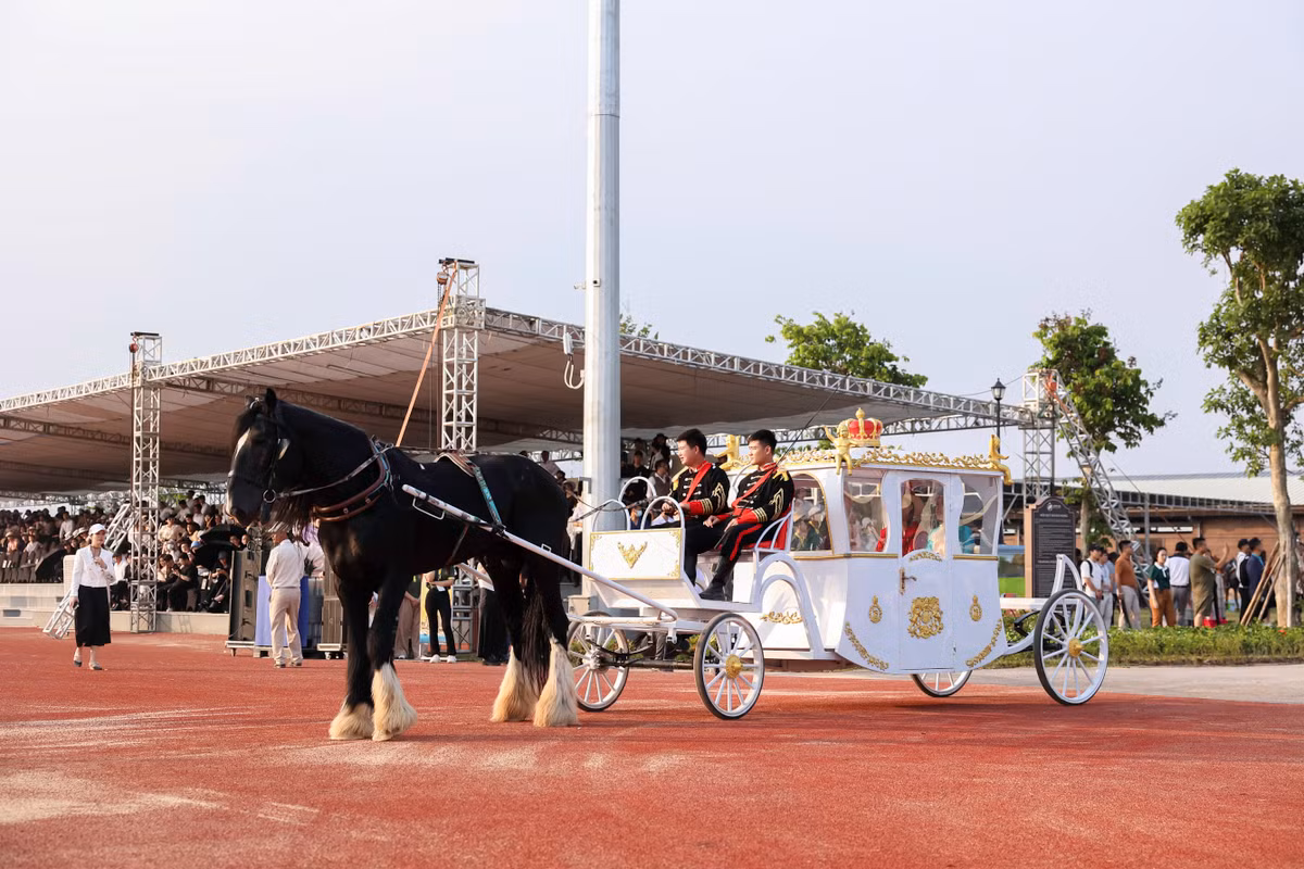 Ra mat hoc vien cuoi ngua duy nhat tai Viet Nam theo phong cach hoang gia-Hinh-3