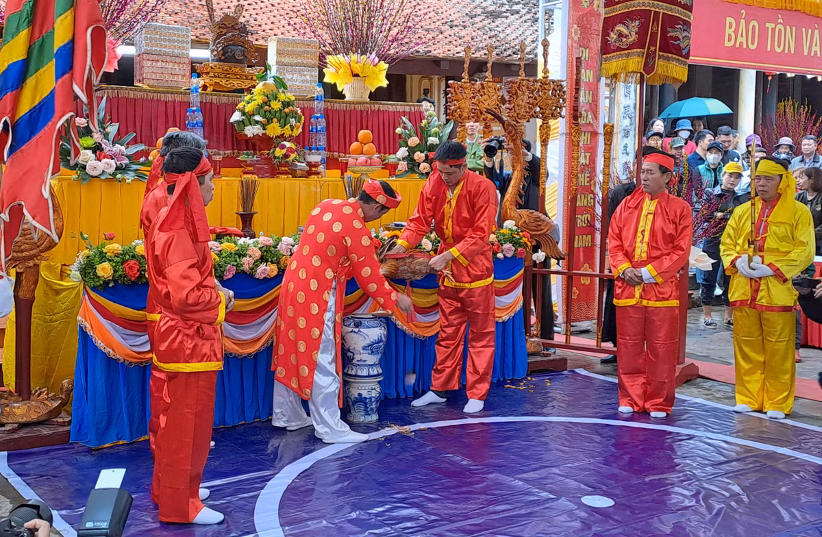 Co gi dac biet o le hoi “quan the khong tham nhung”?-Hinh-3