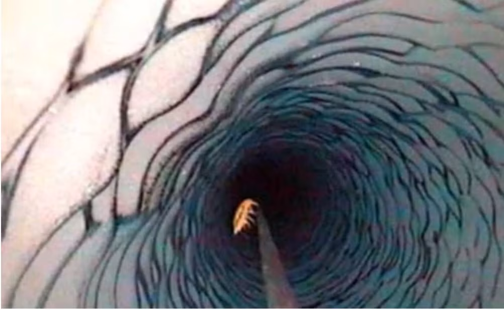 Bí ẩn ‘hồ ma quỷ’ bị 'giam cầm' 25 triệu năm dưới lớp băng Bi an ‘ho ma quy’ bi 'giam cam' 25 trieu nam duoi lop bang