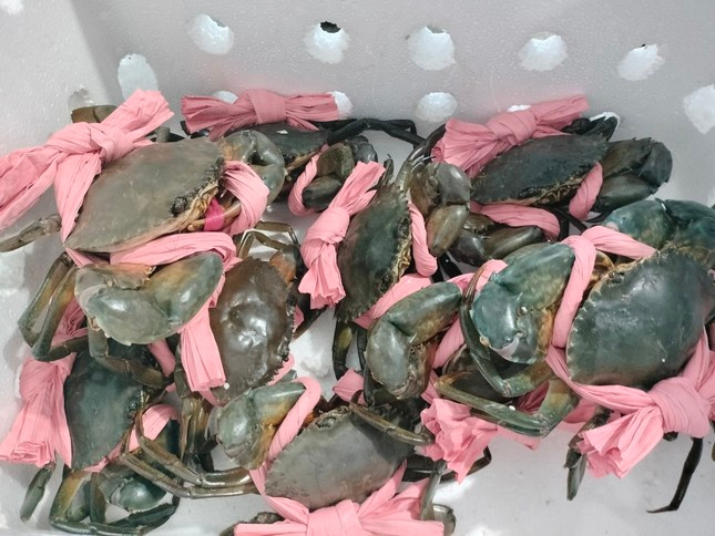 Thực hư thông tin cua Cà Mau khó xuất khẩu Trung Quốc Thuc hu thong tin cua Ca Mau kho xuat khau Trung Quoc