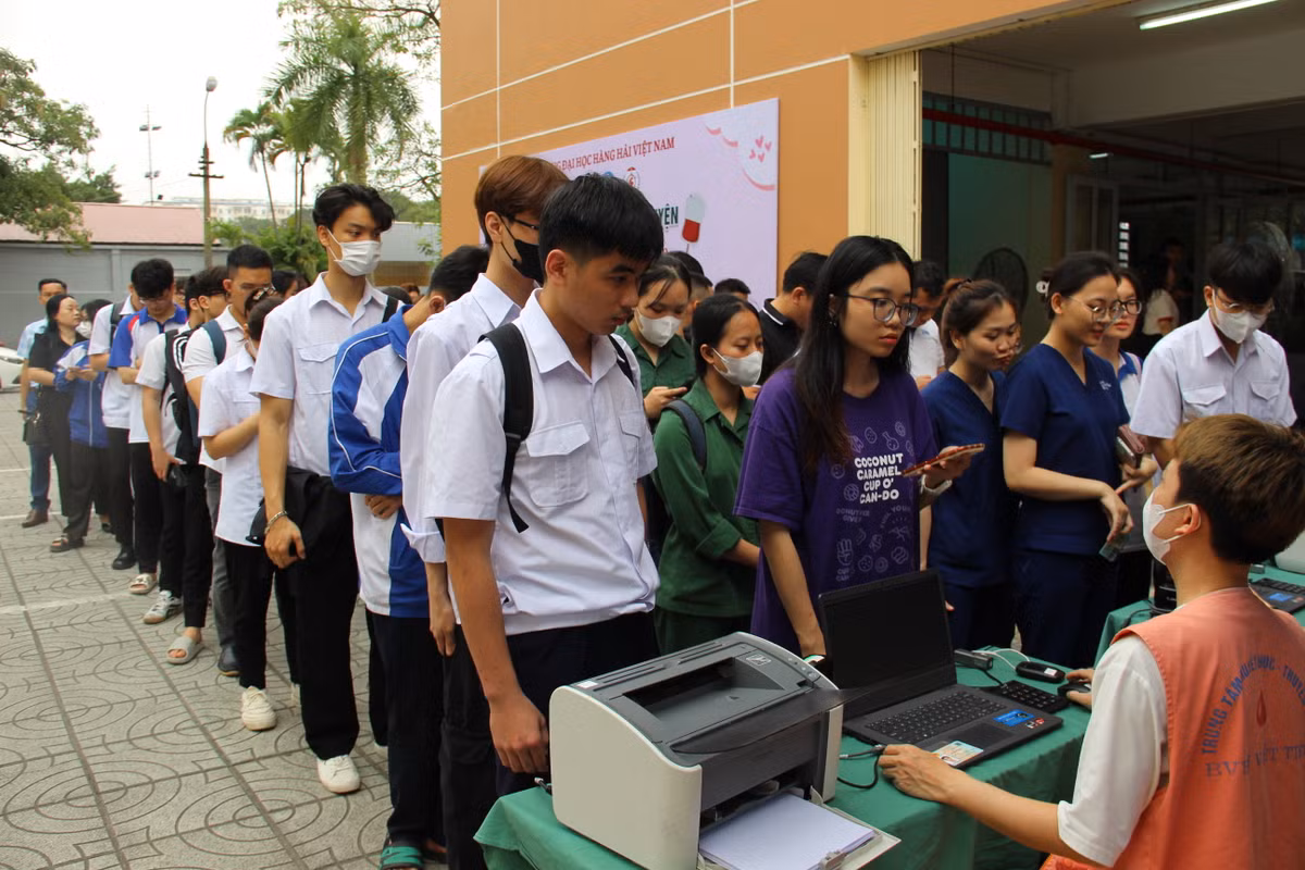 Hai Phong: Tung bung mit tinh huong ung ngay toan dan hien mau tinh nguyen-Hinh-6