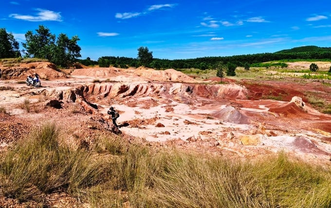 Dự án trang trại xanh kết hợp du lịch sinh thái tại xã Duy Hòa và Duy Phú, do Công ty TNHH MTH Thương mại và Dịch vụ làm chủ đầu tư, có diện tích 30ha. (Ảnh: Nông nghiệp Việt Nam).