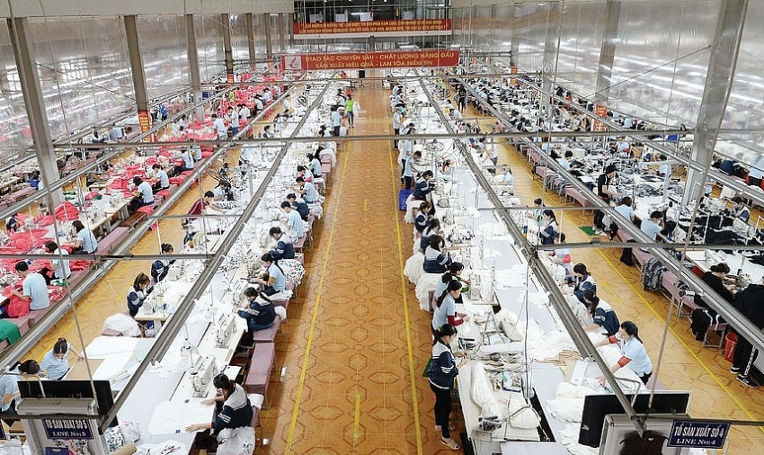 Chuẩn bị đầu tư sang Ai Cập, May Sông Hồng làm ăn thế nào? Chuan bi dau tu sang Ai Cap, May Song Hong lam an the nao?