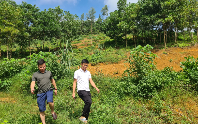 Dong tien duoc chuyen sang dat nen, nhung kho xay ra “sot