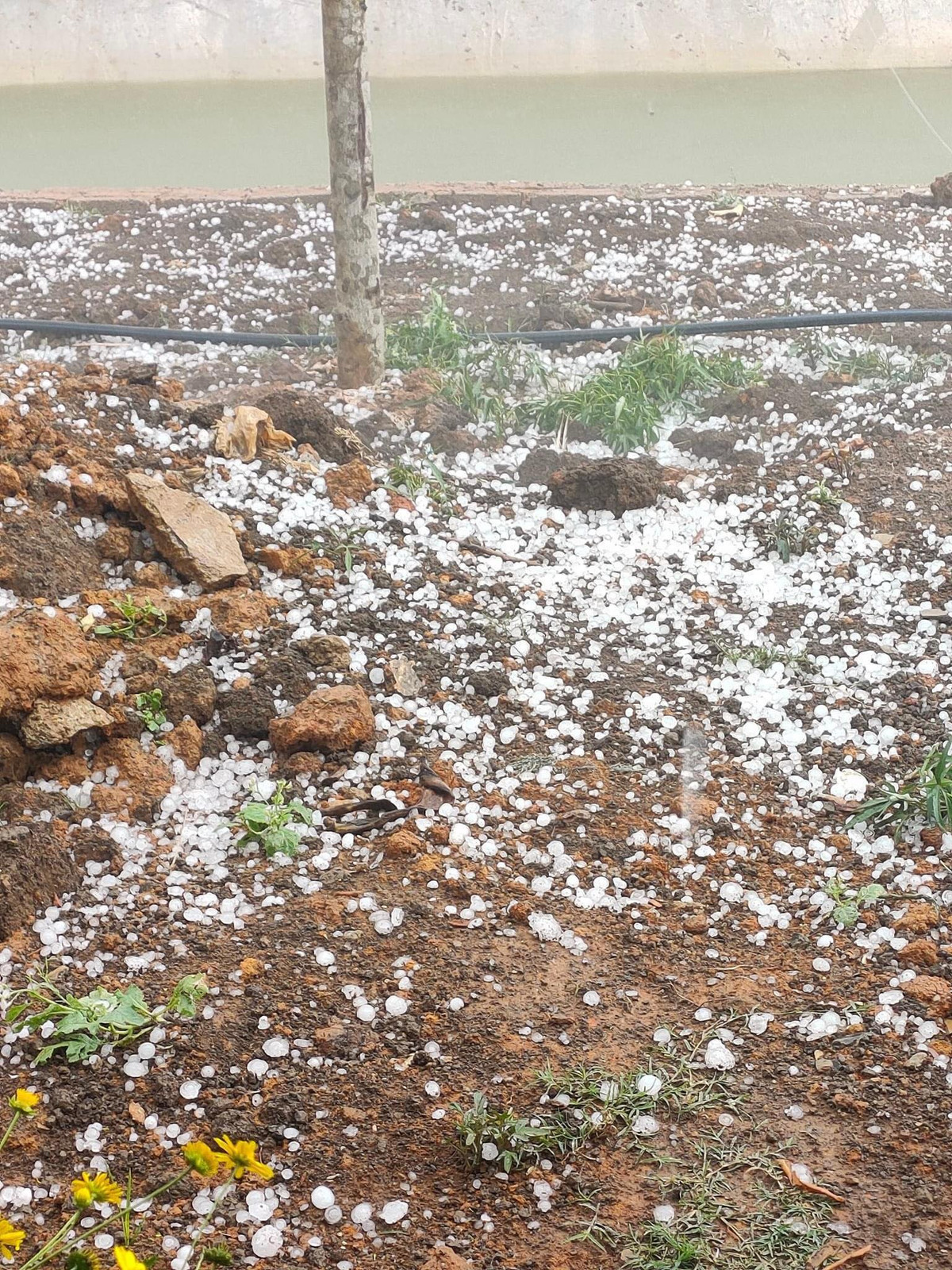 Trận mưa đá kéo dài khoảng 15 phút kèm dông lốc xuất hiện bất ngờ khiến người dân không kịp trở tay. Lượng mưa đá dày hạt, kích thước các viên đá đường kính trung bình 1,5 - 2 cm. Mưa đá làm đổ cây, tốc mái nhà dân, gãy đổ hoa màu.