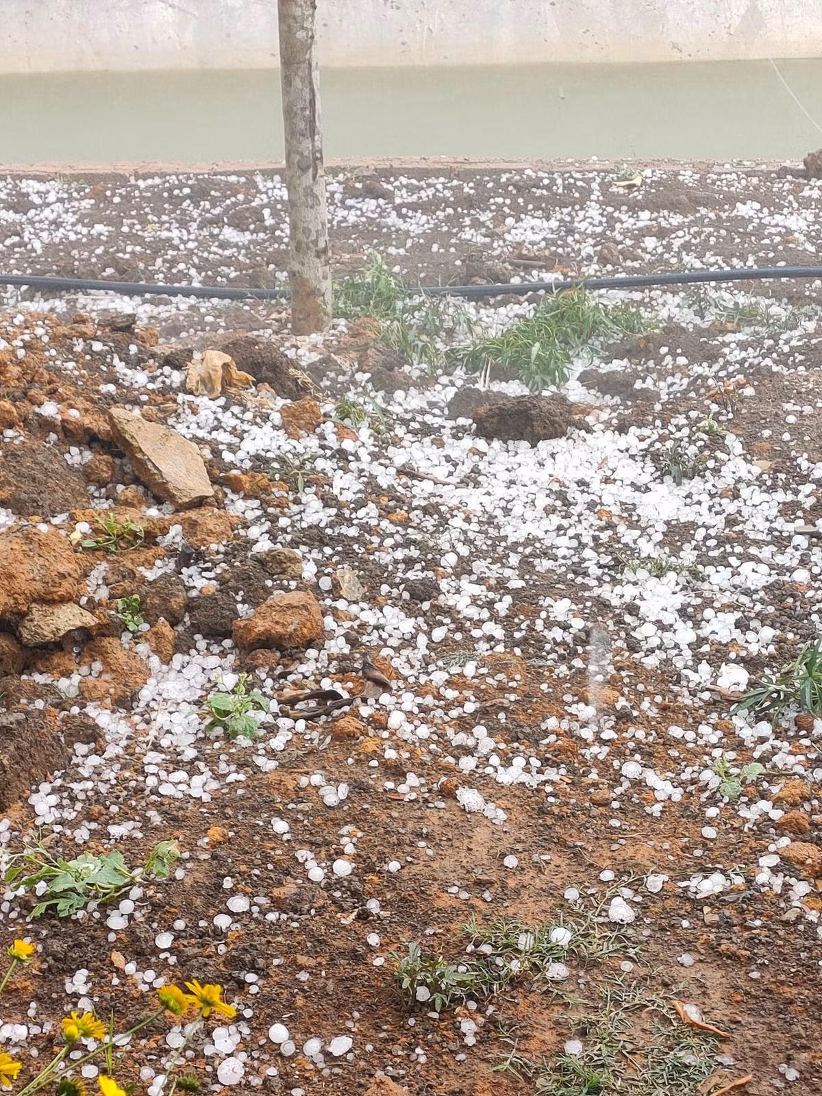 Trận mưa đá kéo dài khoảng 15 phút kèm dông lốc xuất hiện bất ngờ khiến người dân không kịp trở tay. Lượng mưa đá dày hạt, kích thước các viên đá đường kính trung bình 1,5 - 2 cm. Mưa đá làm đổ cây, tốc mái nhà dân, gãy đổ hoa màu.