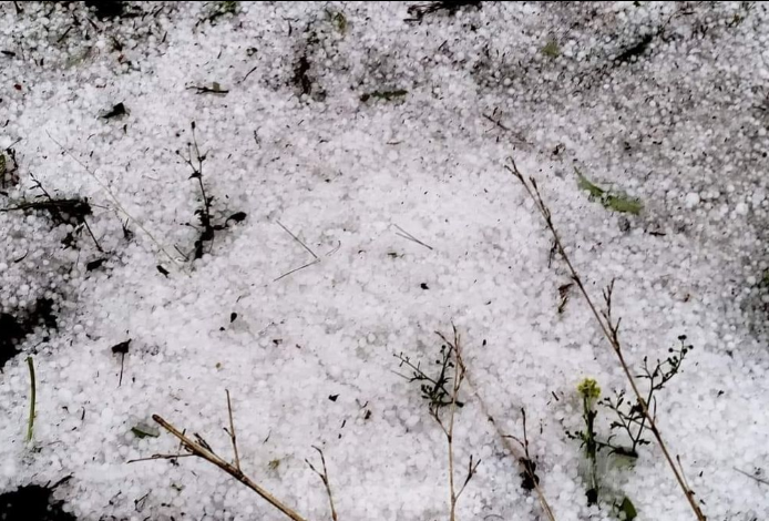 Trên địa bàn huyện Mù Cang Chải và Văn Chấn xảy ra mưa đá bất thường. 