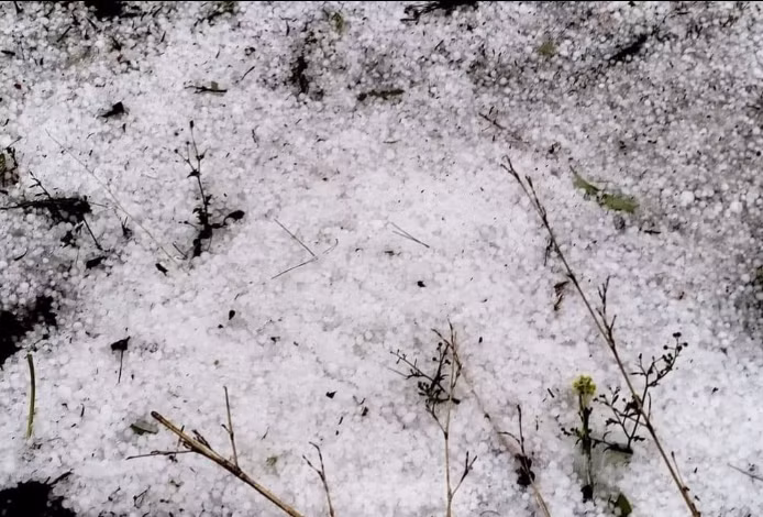 Trên địa bàn huyện Mù Cang Chải và Văn Chấn xảy ra mưa đá bất thường. 