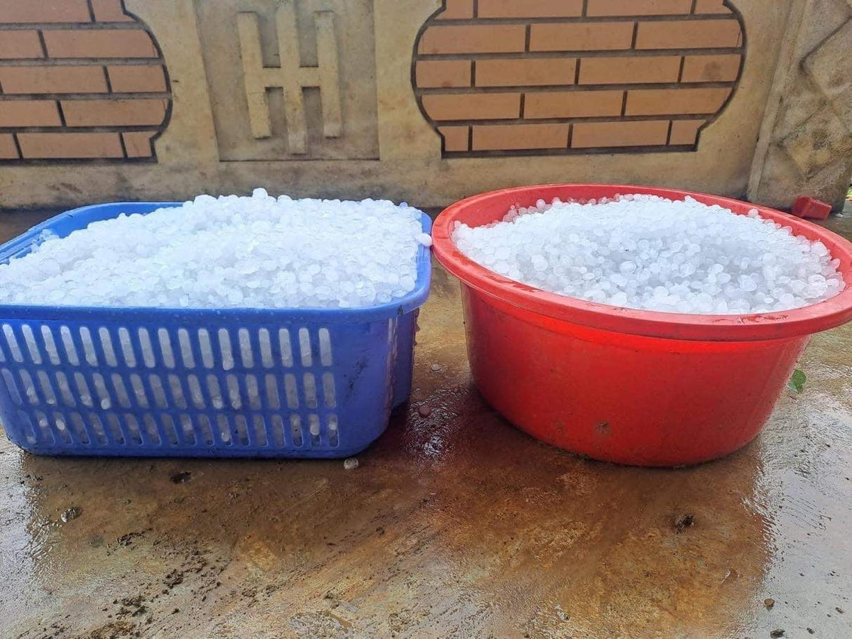 Theo dự báo, tình hình thời tiết đang có những diễn biến bất thường, Ban chỉ huy PCTT - TKCN tỉnh Yên Bái đề nghị các thành viên và các huyện, thị xã, thành phố thường xuyên cập nhật tình hình thời tiết, mưa dông, lốc sét, mưa đá và gió giật mạnh có thể xảy ra để thông báo, hướng dẫn kịp thời, thường xuyên cho các cấp chính quyền, nhân dân chủ động phòng tránh, giảm thiểu thiệt hại; sẵn sàng các phương án để chủ động ứng phó khi có tình huống, đặc biệt là bố trí lực lượng xung kích, vật tư phương tiện tại chỗ để kịp thời triển khai ứng cứu khi có yêu cầu.