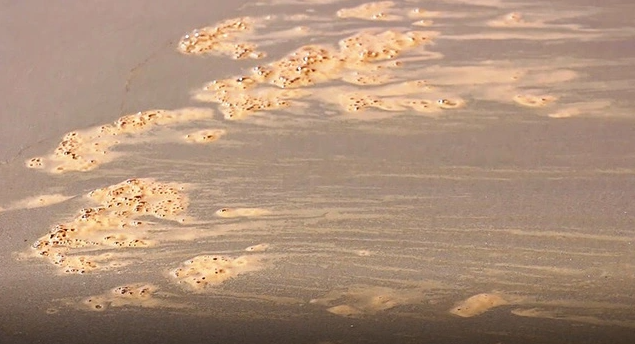 Người dân địa phương cho biết, dù nước biển có màu đen như vậy, nhưng không gây ngứa không làm cho cá chết. Nhận định ban đầu của cơ quan chức năng, hiện tượng trên có các khả năng xảy ra: Do phân hủy các loài tảo biển bị sóng đánh trôi dạt vào bờ; bùn, chất thải nuôi trồng thủy sản tích tụ từ sông Trà Bồng do biển động, sóng đánh nổi lên mặt dạt vào bờ (chưa xác định nguyên nhân). 