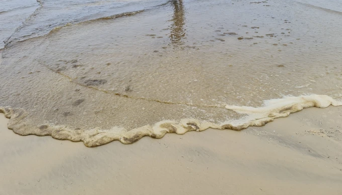 Theo UBND xã Bình Châu, huyện Bình Sơn, tỉnh Quảng Ngãi, nhiều khả năng nước biển đổi màu có thể do đang vào mùa bão lũ, thường xuyên có triều cường dâng cao, cuốn theo nhiều chất bẩn ra biển, cũng có thể do hoạt động của các hồ nuôi tôm gần đó. (Ảnh Người lao động)