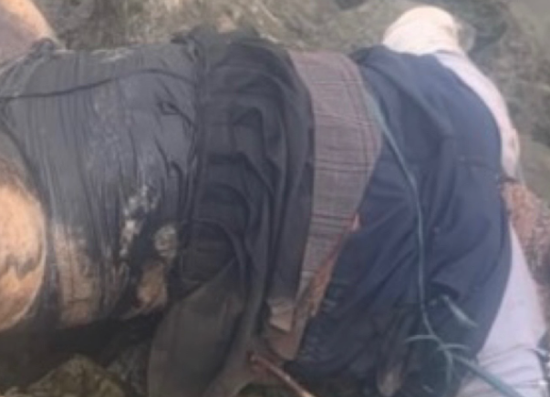 Phat hien thi the nu gioi dang phan huy tai bo song Hong