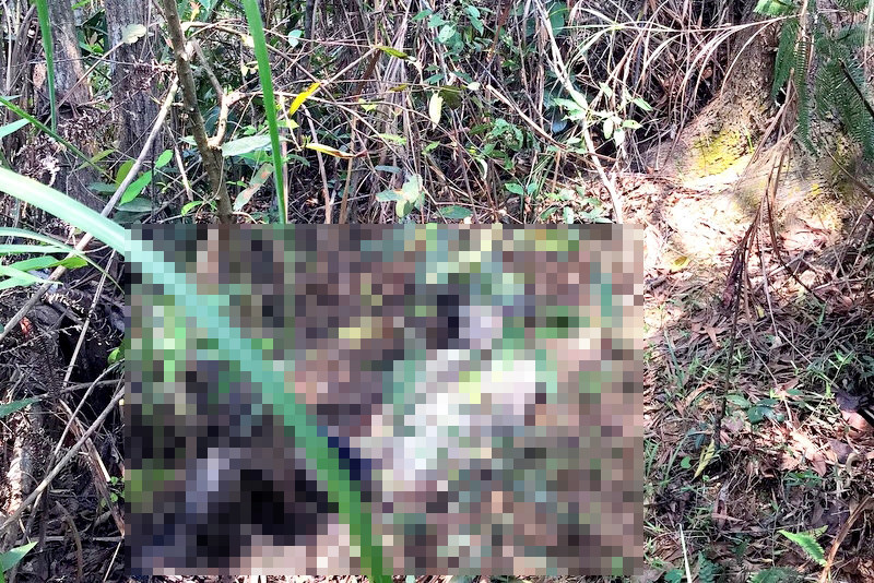 Ngày 25/8/2009, Phòng PC 14, Công an tỉnh Lào Cai nhận được thông tin: Tại khu ruộng lúa nhà ông Thào Seo Vu, ở thôn Cửa Cải, xã Phong Hải (Bảo Thắng) phát hiện một bộ xương khô, nghi là vụ án mạng. Sau khi nhận tin, lãnh đạo Công an tỉnh Lào Cai đã chỉ đạo Phòng PC 14, Phòng Kỹ thuật hình sự và Công an huyện Bảo Thắng tiến hành khai quật tử thi. Qua khám nghiệm, các đơn vị nghiệp vụ phát hiện tại phía chẩm trái của hộp sọ có 3 lỗ thủng, bên trong có 5 viên bi tròn. (Ảnh minh họa, nguồn internet)