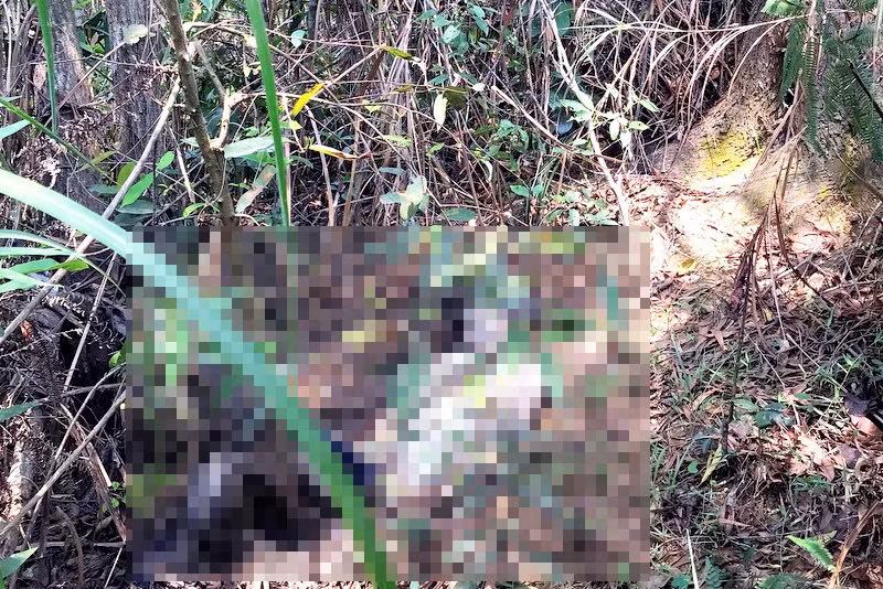 Bộ xương khô với 5 viên bi trong hộp sọ vạch mặt sát nhân Bo xuong kho voi 5 vien bi trong hop so vach mat sat nhan