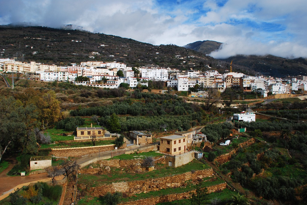  Lanjaron, Tây Ban Nha: Năm 1999, Jose Rubio, thị trưởng của đô thị Lanjaron, Tây Ban Nha cũng đau đầu vì vấn đề quá tải ở nghĩa trang trong vùng. Ông cảm thấy nghĩa trang thị trấn đã quá đông đúc cho các linh hồn yên nghỉ. 4.000 cư dân của Lanjaron được khuyên "nên sống" trong khi chính quyền thành phố mua đất để lập nghĩa trang mới. Ảnh: Wikimedia Commons.