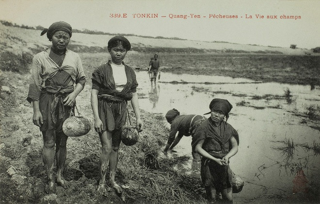 Mò cua bắt ốc: Đúng nghĩa đen với câu cửa miệng "mò cua bắt ốc", đồng ruộng xưa nhiều tôm cá, nên lúc nông nhàn công việc này góp phần cải thiện cuộc sống của người thôn quê.