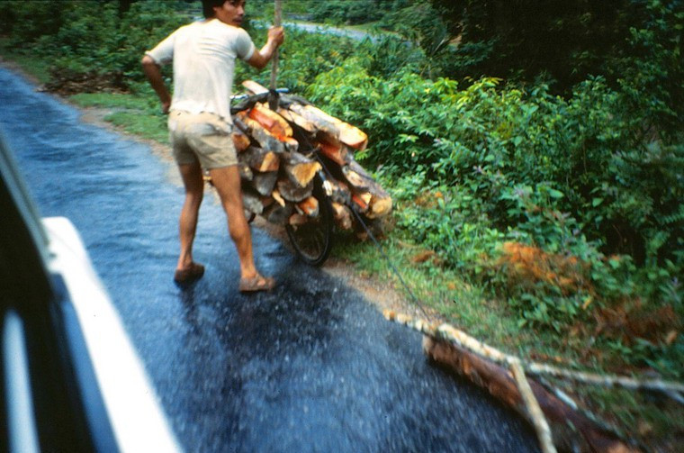 Xe đạp được dùng để chở gỗ. "Phải nói rằng, tôi đã may mắn được làm việc một tháng tại Hà Nội trong những ngày trước khi ô tô và xe máy trở nên phổ biến và mọi người đi lại chủ yếu bằng xe đạp", lời ông Barry Smith.