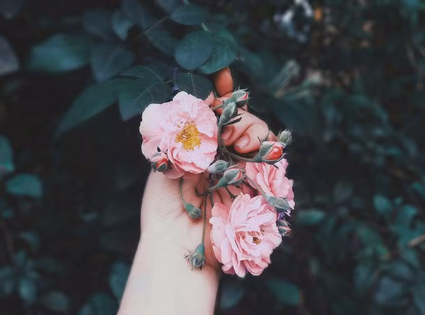  Tuổi Dậu: Vận trình sự nghiệp không được suôn sẻ, bản mệnh phải đối mặt với những chuyện thị phi liên tiếp rơi xuống đầu mà không thể giải thích được cho tất cả mọi người. Sự uy tỉnh sụt giảm cũng khiến công việc chịu ảnh hưởng, song hãy vững vàng lên, sẽ có lúc bạn giành lại được những gì vốn thuộc về mình. 