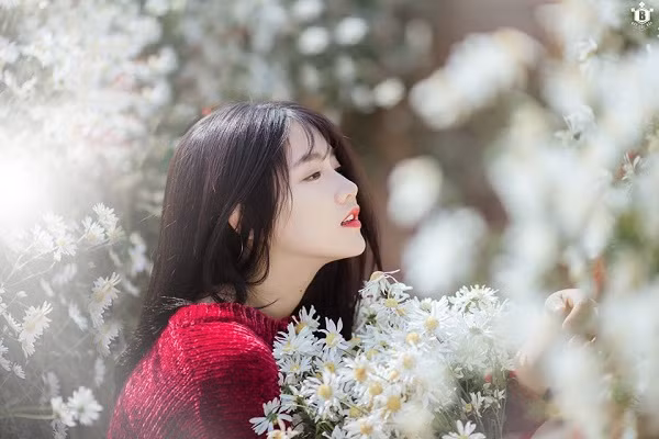 Tuổi Ngọ: Hôm nay người tuổi Ngọ gặp rất nhiều may mắn trong chuyện tiền bạc. Tuy nhiên, có nhiều người khi có chút tiền trong tay lại nghĩ tới việc tiêu pha phung phí như chọn mua đồ sang trọng, đổi xe nên nhiều khi vận may trở thành vận rủi nếu con giáp này vay thêm tiền để mua sắm, chi tiêu thiếu kế hoạch. Nhờ ngày Tam Hội cục, con giáp này có thêm những cơ hội tốt để hợp tác làm ăn, kinh doanh... 