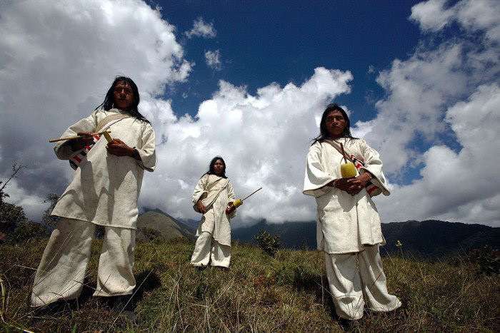 Theo khảo sát của một số nhà khoa học thì bộ tộc này có niên đại khoảng từ 7 – 8 nghìn năm. Thậm chí, tộc người Kogi còn được cho là có trước cả thời đại văn minh của Inca và Maya ở Nam Mỹ. 