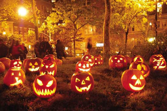 Vào thời xa xưa, nếu người nào đó trót hóa trang thành phù thủy trong lễ hội Halloween thì phải nhất định dẫn theo một con mèo mun. Bởi lẽ, nhiều người tin rằng, mèo mun chính là đầy tớ thân cận với phù thủy.