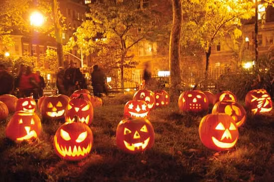 Vào thời xa xưa, nếu người nào đó trót hóa trang thành phù thủy trong lễ hội Halloween thì phải nhất định dẫn theo một con mèo mun. Bởi lẽ, nhiều người tin rằng, mèo mun chính là đầy tớ thân cận với phù thủy.