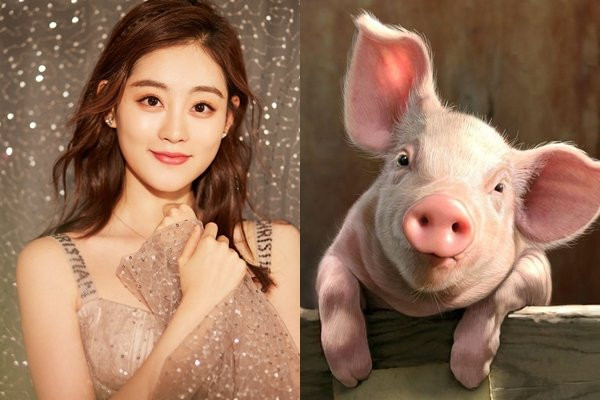 Họ sẽ gặp được nhiều may mắn, sự nghiệp có bước chuyển biến tích cực, kéo theo tài vận được cải thiện đáng kể. Thời gian tới, Hợi chuẩn bị tinh thần đón nhận hỷ sự, có khả năng viên mãn từ giờ về sau. Chúc mừng tuổi Hợi. (Thông tin mang tính chất tham khảo, chiêm nghiệm).