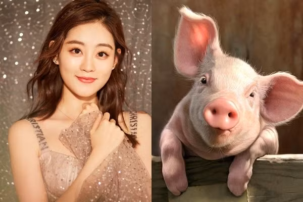 Họ sẽ gặp được nhiều may mắn, sự nghiệp có bước chuyển biến tích cực, kéo theo tài vận được cải thiện đáng kể. Thời gian tới, Hợi chuẩn bị tinh thần đón nhận hỷ sự, có khả năng viên mãn từ giờ về sau. Chúc mừng tuổi Hợi. (Thông tin mang tính chất tham khảo, chiêm nghiệm).