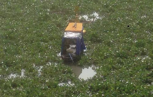 Theo người dân gần khu vực cầu Rạch Chiếc thì thỉnh thoảng cũng có tình trạng lục bình ở con sông này nhưng đây là lần đầu tiên họ thấy lục bình dày đặc bất thường như thế.