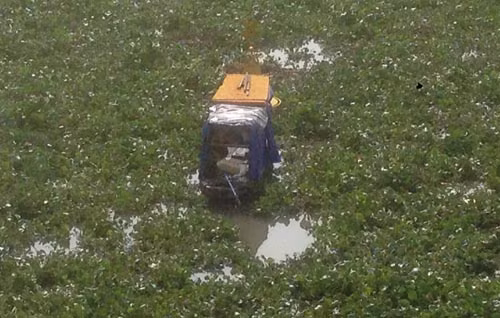 Theo người dân gần khu vực cầu Rạch Chiếc thì thỉnh thoảng cũng có tình trạng lục bình ở con sông này nhưng đây là lần đầu tiên họ thấy lục bình dày đặc bất thường như thế.