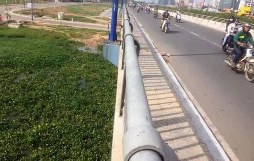  Từ trên cầu Rạch Chiếc (xa lộ Hà Nội cửa ngõ ra vào trung tâm TP HCM), người đi đường bất ngờ khi không còn nhìn thấy con sông thơ mộng chảy ra sông Sài Gòn mà chỉ còn dày đặc lục bình.