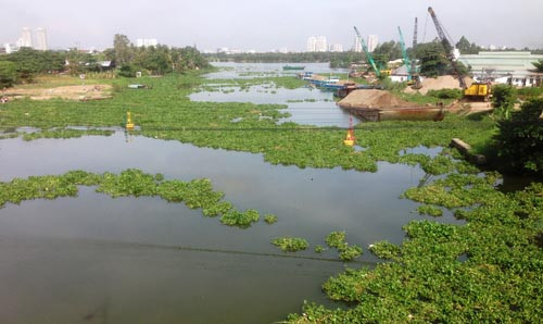 Đến giữa trưa cùng ngày, lục bình có dấu hiệu trôi dạt khi con nước rút và những người sống trên các ghe, xuồng đang cố gắng tìm cách để di chuyển ra sông lớn sau nhiều giờ bị mắc kẹt.