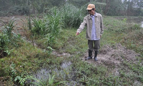 Hiện trường nơi xảy ra vụ thảm án hiện đã thành khu đất hoang. (Ảnh: Q.T)