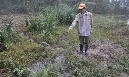 Hiện trường nơi xảy ra vụ thảm án hiện đã thành khu đất hoang. (Ảnh: Q.T)