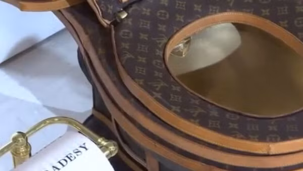 Bon cau ma vang, boc vai hang hieu Louis Vuitton gay soc-Hinh-4