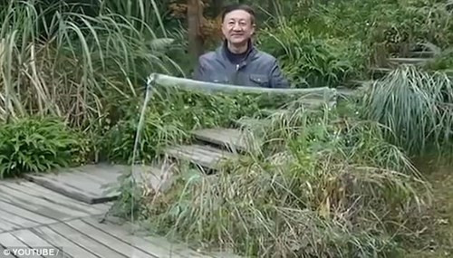 Một số hình ảnh về "áo tàng hình".